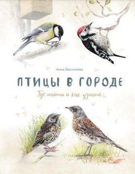 Птицы в городе 28724 фото