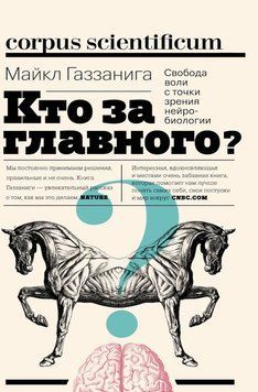 Кто за главного? Свобода воли с точки зрения нейробиологии 133910 фото