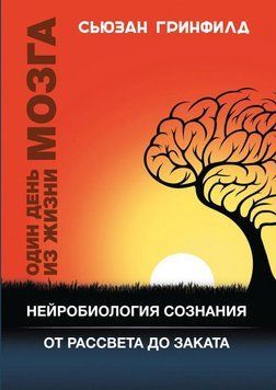 Один день из жизни мозга. Нейробиология сознания от рассвета до заката 23724 фото