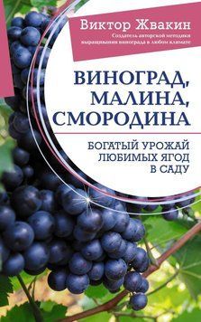 Виноград, малина, смородина. Багатий урожай улюблених ягід у саду 20631 фото