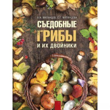 Съедобные грибы и их двойники 251710 фото