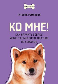 Ко мне! Как научить собаку моментально возвращаться по команде 1591311 фото