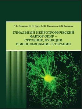 Глиальный нейротрофический фактор GDNF &ndash; строение, функции и использование в терапии 28473762 фото