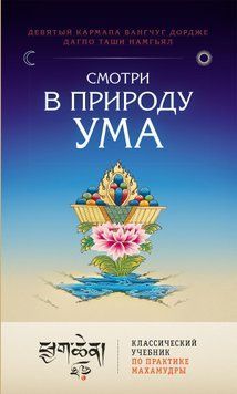 Прозри природу розуму. Класичний посібник із практики Махамудри 2026611 фото