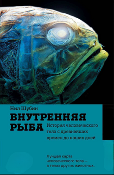 Внутренняя рыба. История человеческого тела с древнейших времен до наших дней 2215112 фото