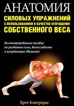 Анатомия силовых упражнений с использованием в качестве отягощения собственного веса 1690011 фото
