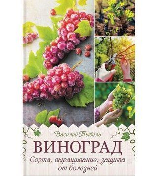 Виноград. Сорти, вирощування, захист від хвороб 328721 фото