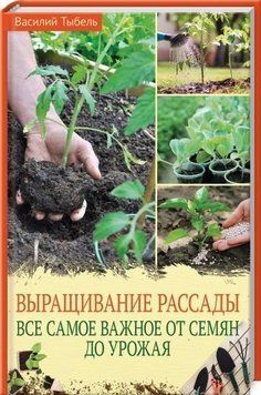 Выращивание рассады. Все самое важное от семян до урожая 213621 фото