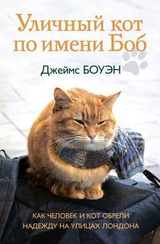 Уличный кот по имени Боб. Как человек и кот обрели надежду на улицах Лондона 1776411 фото