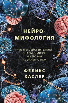 Нейромифология. Что мы действительно знаем о мозге и чего мы не знаем о нем 3422 фото