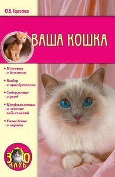 Ваша кошка 1776111 фото