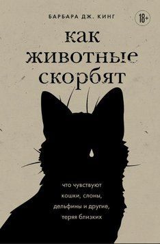 Как животные скорбят. Что чувствуют кошки, слоны, дельфины и другие, теряя близких 2061011 фото
