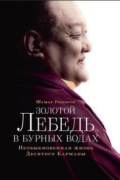 Золотий лебідь у вирі бурі. Незвичайне життя Десятого Кармапи 2026111 фото