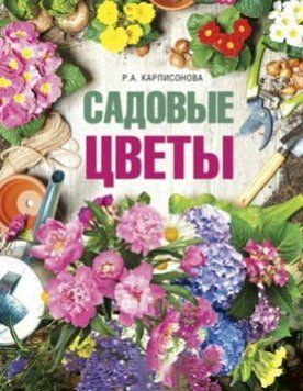 Садові квіти 1423911 фото