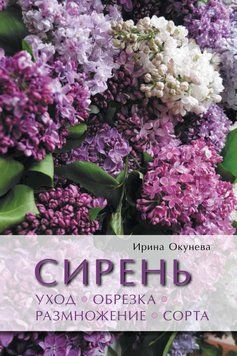 Сирень. Уход, обрезка, размножение, сорта 1527811 фото