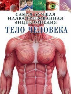 Тело человека 34364 фото