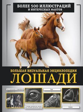 Коні. Велика візуальна енциклопедія 49531 фото