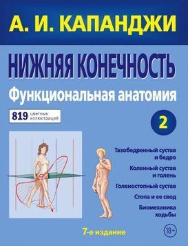 Нижня кінцівка. Функціональна анатомія (оновлене видання) 22934 фото