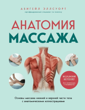 Анатомия массажа. Основы массажа нижней и верхней части тела с анатомическими иллюстрациями 2095411 фото