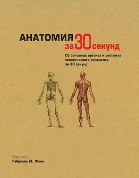 Анатомія за 30 секунд 422 фото