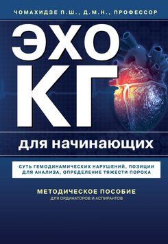 Эхокардиография для начинающих. Суть гемодинамических нарушений, позиции для анализа, определение тяжести порока 1515311 фото