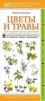 Цветы и травы. Мир удивительных растений 283710 фото
