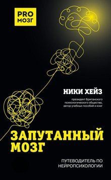 Запутанный мозг. Путеводитель по нейропсихологии 29231 фото