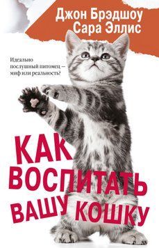 Как воспитать вашу кошку 1477511 фото