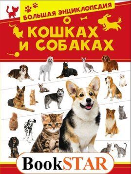 Большая энциклопедия о кошках и собаках 5094 фото