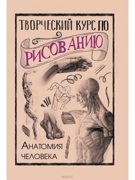 Творческий курс по рисованию. Анатомия человека 34214 фото