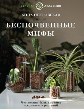 Что должно быть в горшке у комнатных растений. Беспочвенные мифы 1589511 фото