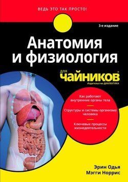 Анатомія і фізіологія для чайників 214464268916 фото