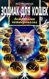 Зодиак для кошек. Астрология четвероногих 1775011 фото