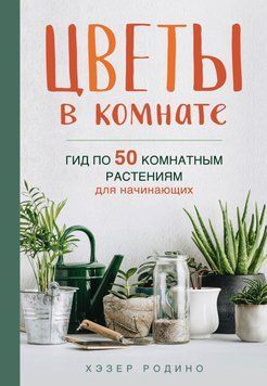 Квіти в кімнаті. Гід по 50 кімнатних рослинах для початківців 243721 фото