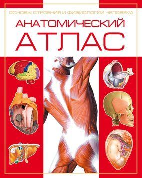 Анатомічний атлас. Основи будови та фізіології людини 2248116 фото