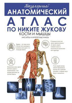 Популярний анатомічний атлас за Нікітою Жуковим. Кістки та м'язи. Інсайди та цікаві факти 10431 фото