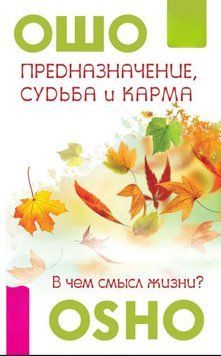 Предназначение, судьба и карма. В чем смысл жизни? 2008611 фото