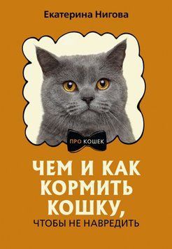 Чем и как кормить кошку, чтобы не навредить 1878811 фото